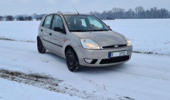 Ford Fiesta full