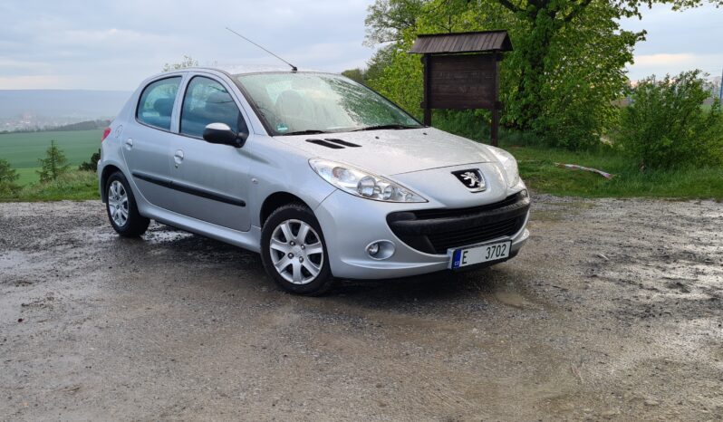 Peugeot 206 Plus full