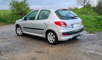 Peugeot 206 Plus full