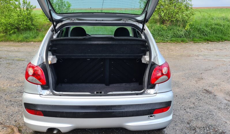 Peugeot 206 Plus full