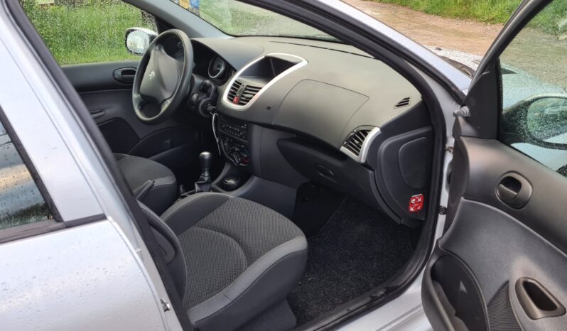 Peugeot 206 Plus full