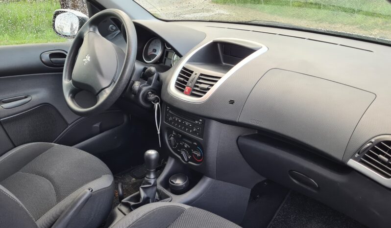 Peugeot 206 Plus full